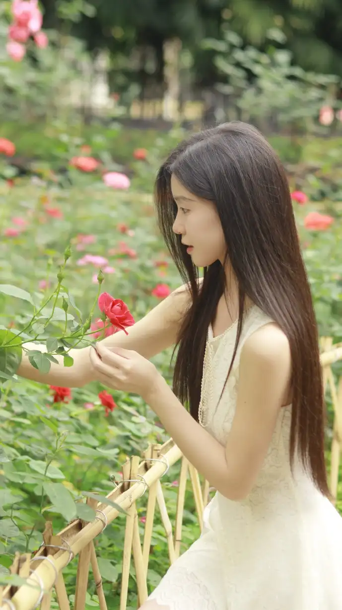 盗版电影数据对比图